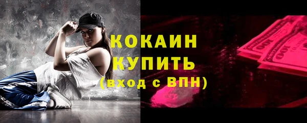 ПСИЛОЦИБИНОВЫЕ ГРИБЫ Рославль