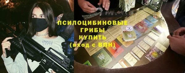 мдпв Магас