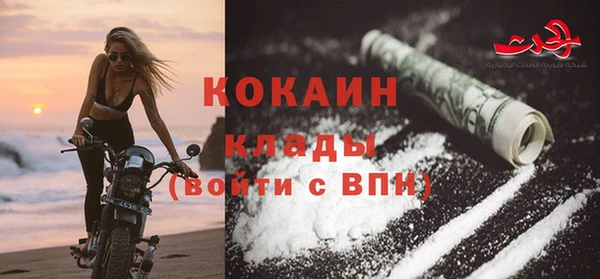 мдпв Магас
