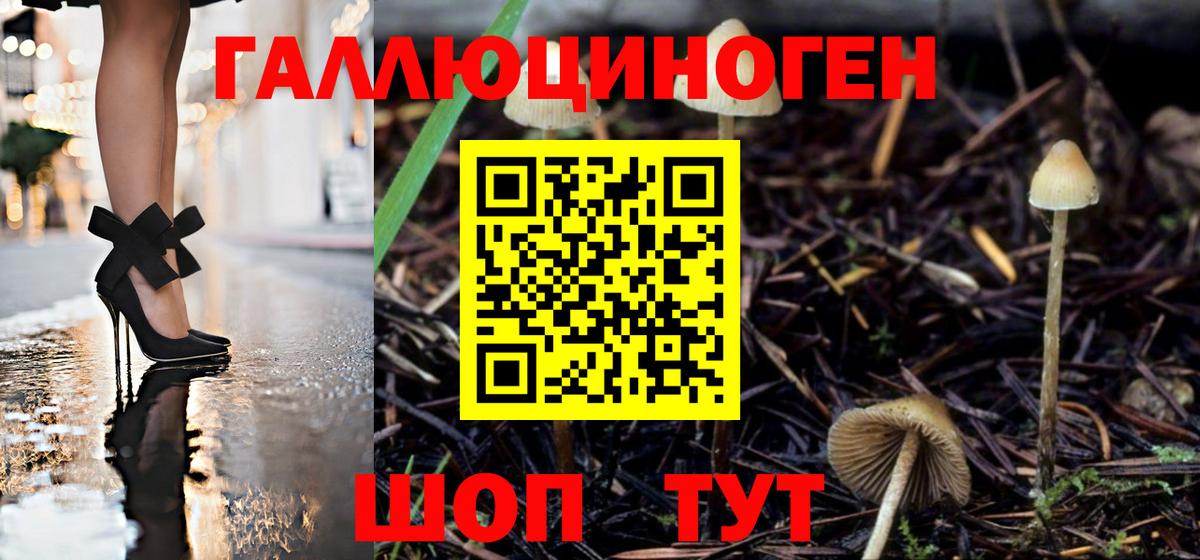 Псилоцибиновые грибы GOLDEN TEACHER Анжеро-Судженск