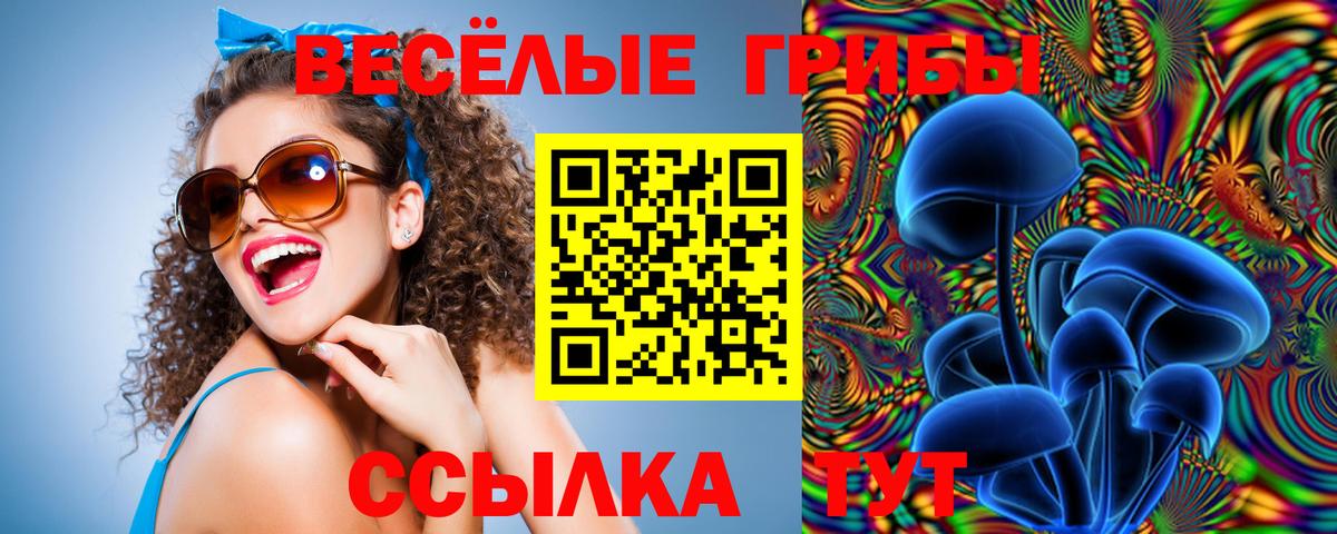 Галлюциногенные грибы мухоморы  как найти   Галлюциногенные грибы ЛСД  Анжеро-Судженск 