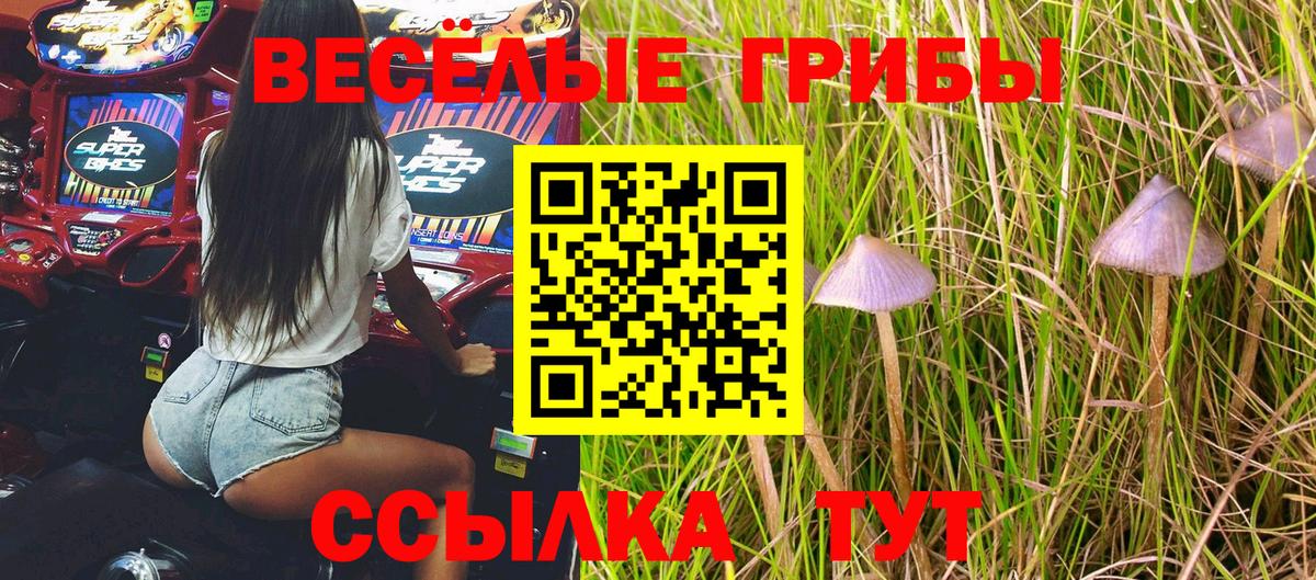 Псилоцибиновые грибы мицелий  Вход с VPN  Анжеро-Судженск 