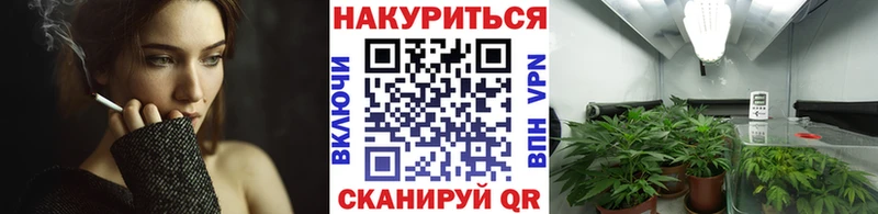 Конопля семена Анжеро-Судженск